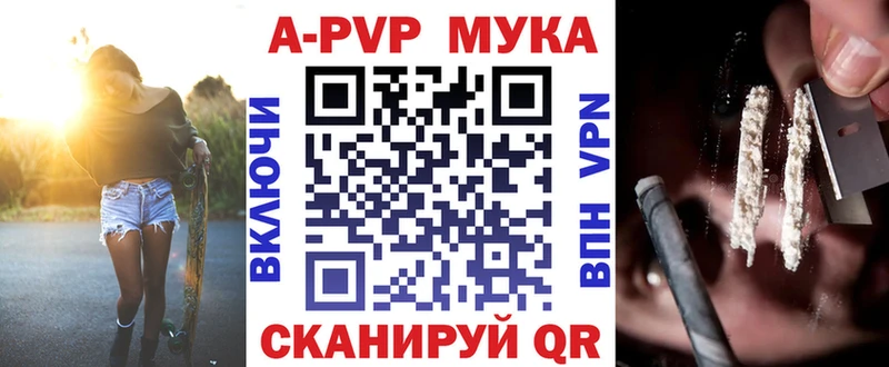площадка как зайти  Кизляр  Альфа ПВП VHQ 