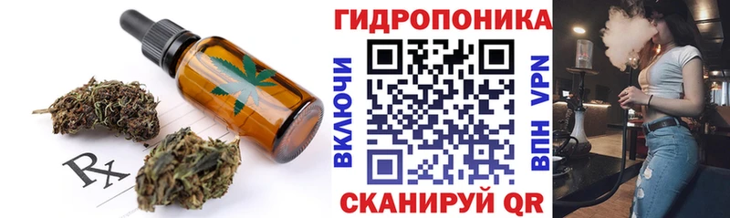 Canna-Cookies марихуана  блэк спрут вход  Кизляр 