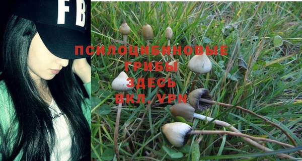 дурь Верея