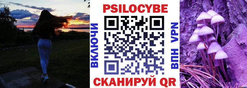 Псилоцибиновые грибы Magic Shrooms KRAKEN ТОР Кизляр